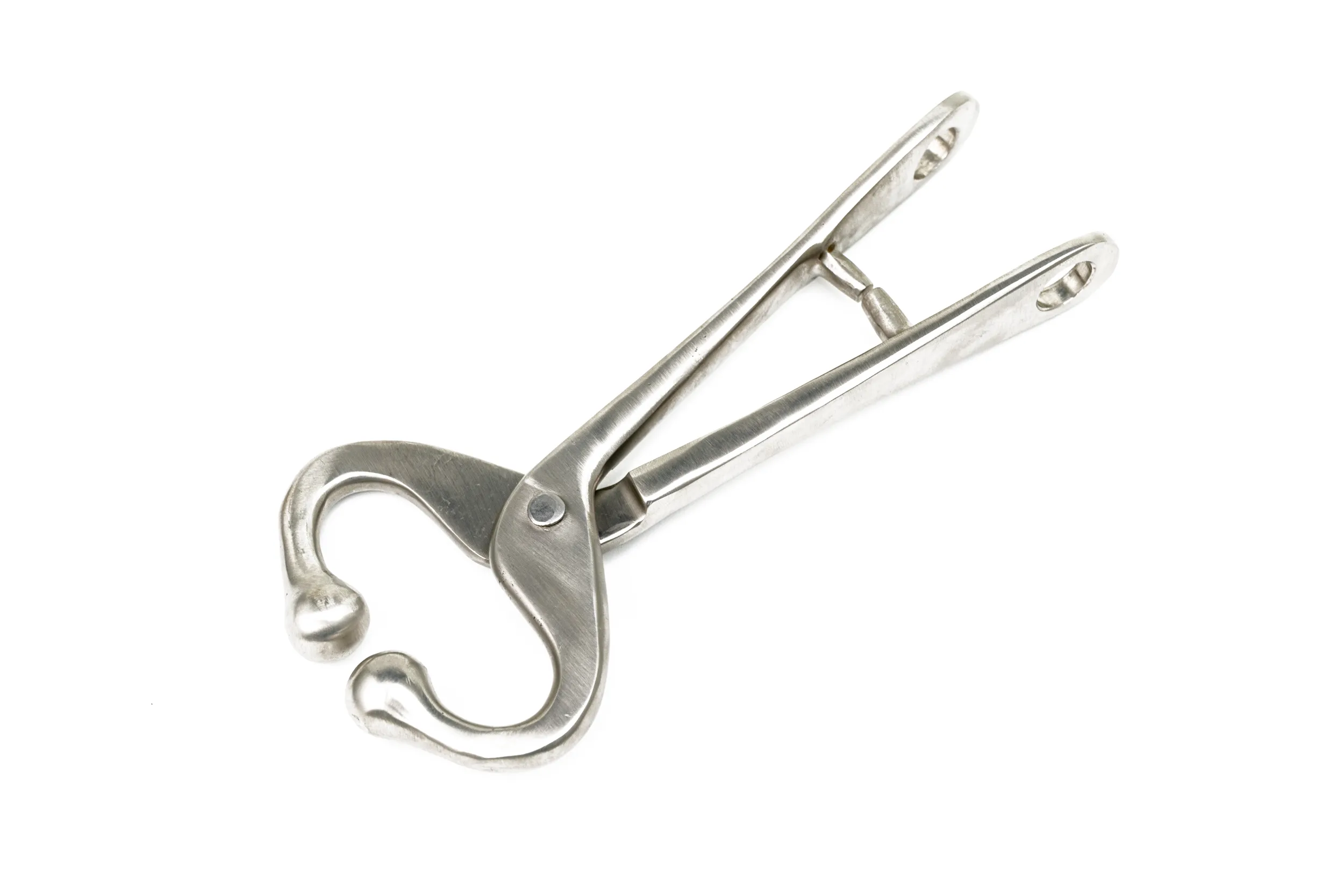 Narigón sin Cadena 7.48"