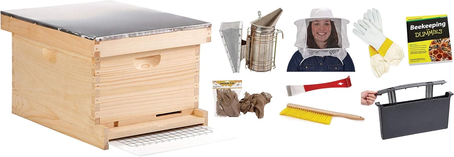 Kit Colmena para Principiantes